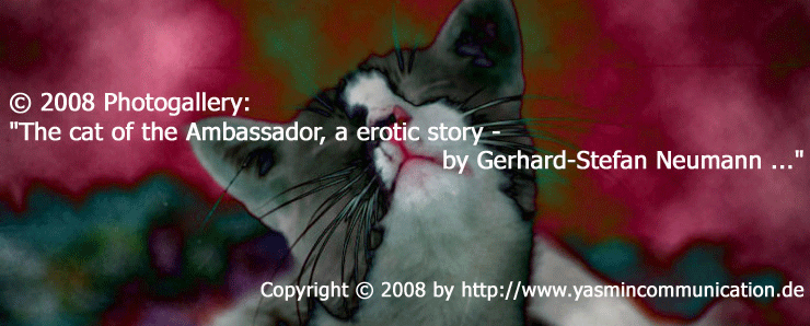 � The cat of the ambassador, a erotic story - by Gerhard-Stefan Neumann ...