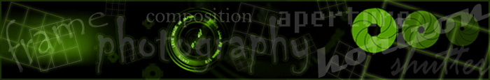 site banner