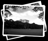 UP Sunken Garden