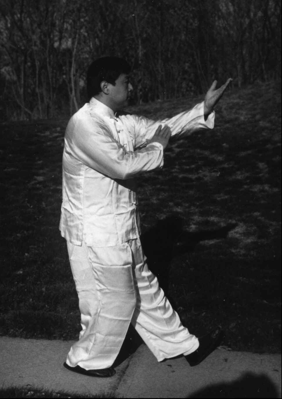 wpe38.jpg (81956 bytes)