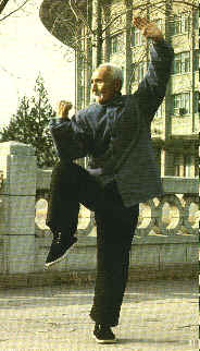 wpe17.jpg (11907 bytes)