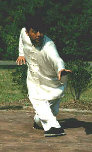 wpe1B.jpg (8626 bytes)