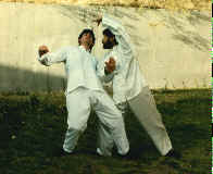 wpe1A.jpg (5331 bytes)