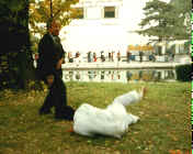 wpe1C.jpg (5289 bytes)