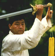 wpe25.jpg (5853 bytes)