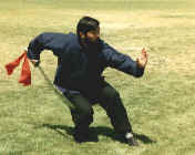 wpe40.jpg (4381 bytes)