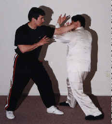 wpe3F.jpg (6961 bytes)