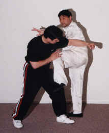 wpe3E.jpg (6097 bytes)