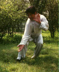 wpe3C.jpg (10125 bytes)