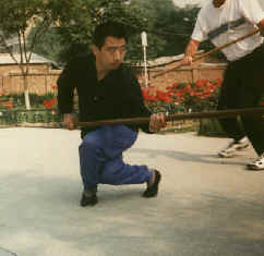 wpe33.jpg (7664 bytes)