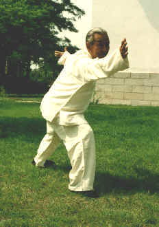 wpe52.jpg (10729 bytes)