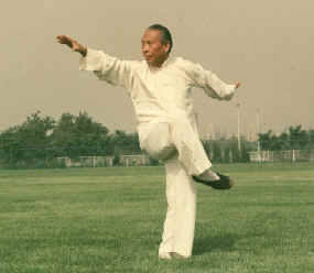 wpe46.jpg (6874 bytes)