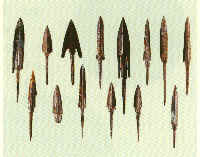 wpe5C.jpg (5377 bytes)