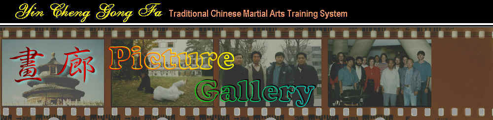 wpe19.jpg (40301 bytes)