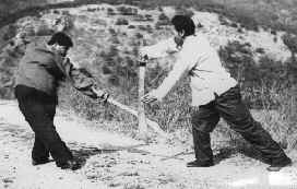 wpe6.jpg (8853 bytes)