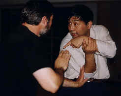 shifu_6.jpg (5362 bytes)