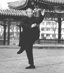 wpe44.jpg (9928 bytes)