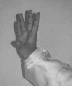 wpe42.jpg (2267 bytes)