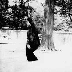 wpe43.jpg (9895 bytes)