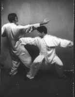 wpe3A.jpg (3642 bytes)