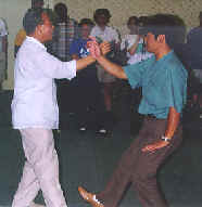 wpe33.jpg (5138 bytes)