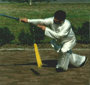 wpe3C.jpg (11579 bytes)