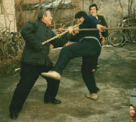 wpe3A.jpg (9167 bytes)