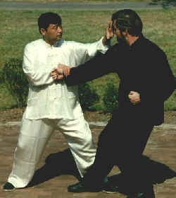 wpe1B.jpg (8962 bytes)