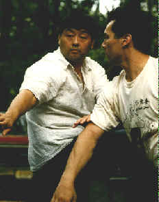 taiji14.jpg (9400 bytes)