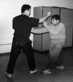 wpe3D.jpg (6259 bytes)