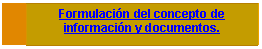 Cuadro de texto: Formulaci�n del concepto de informaci�n y documentos.

