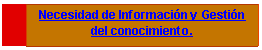 Cuadro de texto: Necesidad de Informaci�n y Gesti�n del conocimiento.


