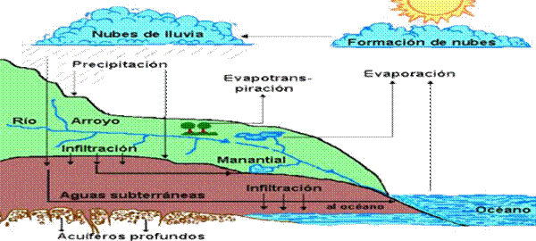El ciclo del agua