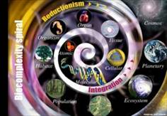 Espiral de la complejidad biol�gica