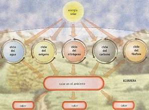 Figura 4-2 > Ciclo energ�tico del ecosistema