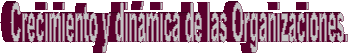 Crecimiento y din�mica de las Organizaciones.