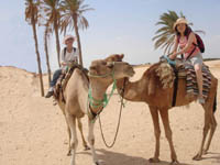 �𥧦��(Tunisia)