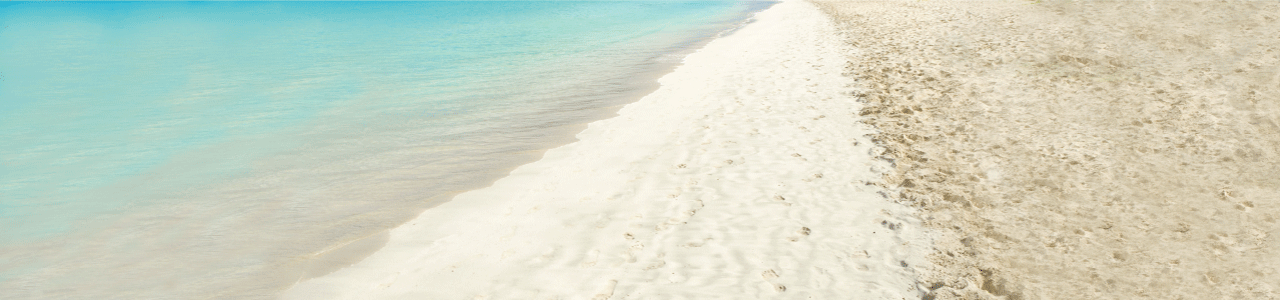 web-banner
