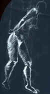 ASIgirl3negative.jpg (98843 bytes)
