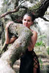 Amanda022005064.jpg (75990 bytes)