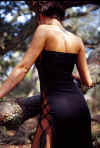Amanda022005085.jpg (43929 bytes)