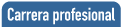 Carrera profesional