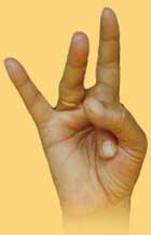 miracles of mudras