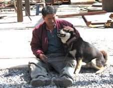 shelter dog with a new companion