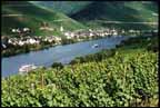 mosel