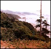 Oregon Coast