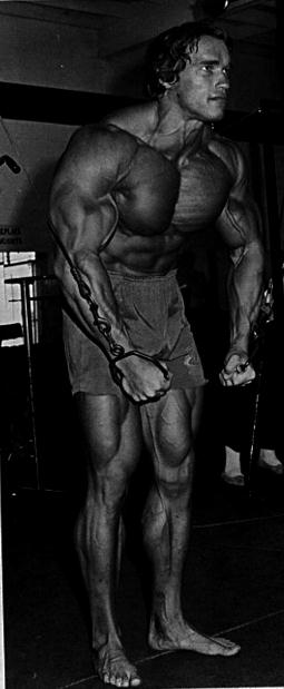 Arnold Schwarzenegger