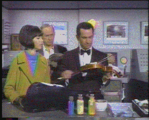 Barbara Feldon