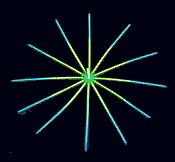 ray.jpg (7673 bytes)