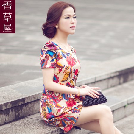 �黨����ȹ 2013�ļ��¿��������ȹ�� ŷ����������ӡ������ȹ